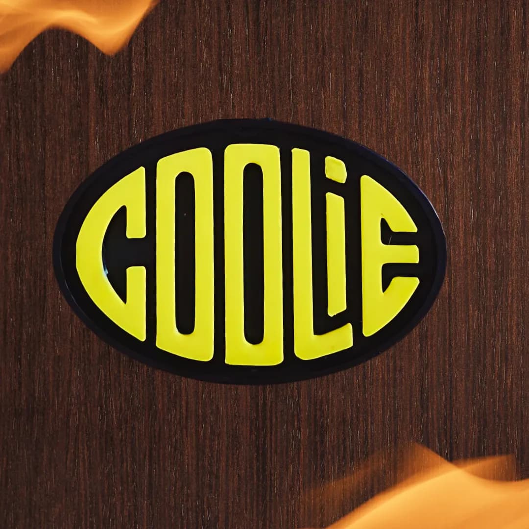 COOLIE 3D Printed Keychain